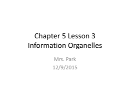 Chapter 5 Lesson 3 Information Organelles