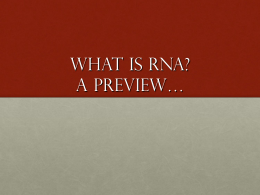 What is RNA? A Preview…