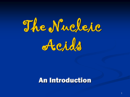 Ch 1 - Composition of cells, DNA