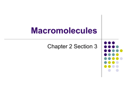 Macromolecules