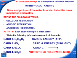 9-1 Chemical Pathways