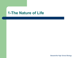 Chapter Goals and Objectives - Stewartville School District