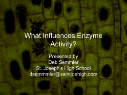 What Influences Enzyme Activity