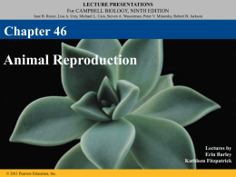 Sexual Reproduction
