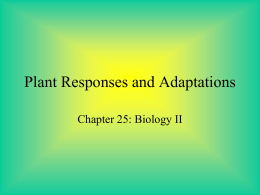 Plant Responses and Adaptations