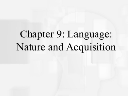 Chapter 2 : Cognitive Neuroscience