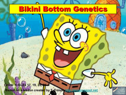 SpongeBob Genetics Worksheet #3