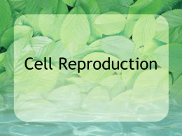 Cell Reproduction