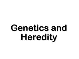 Genetics and Heredity - Winston Knoll Collegiate