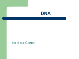 DNA - mechalskesbiology
