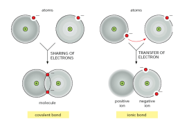 Molecular Compounds and Ions