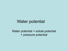 Water potential - Raleigh Charter High School