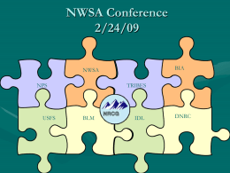 1 - NWSA