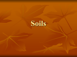 Soils - Leaving Certificate Geography