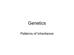 genetics notes ppt