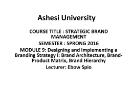 Designing and Implementing Brand Architecture Strategy File