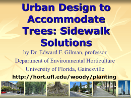 Urban Design to Accommodate Trees