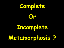 Slide 1