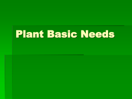 Plant Basic Needs