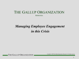 The Gallup Organization - Q12 Presentation