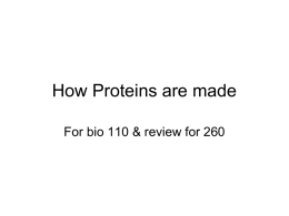 How Proteins are made