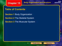 Section 1 Body Organization Chapter 15