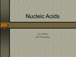 Nucleic Acids