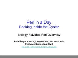 Perl in a Day - Harvard Medical School Research Computing