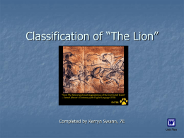 Classification of “The Lion”