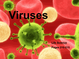 Virus Types Active Viruses
