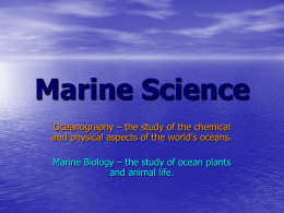 Unit I - Classification of Marine Species