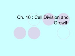 Chapter 8 : CELL REPRODUCTION