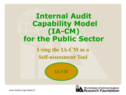 IA-CM for the Public Sector - Using the IA-CM as a Self