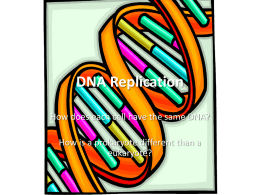 DNA Replication - Living Environment H: 8(A,C)