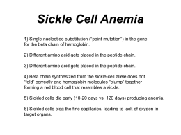 HGSS Chapter 5: Sickle Cell Anemia