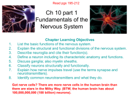 Nervous System Part I