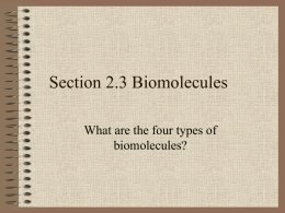 Biomolecule Power Point For Class Notes