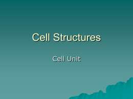 Cells PowerPoint - School District of Holmen