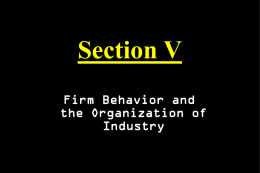 Mankiw Chapter 13