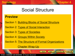 CHAPTER 4 Social Structure