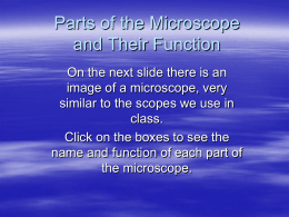 Parts of the Microscope and functions ppt 1