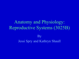 Anatomy and Physiology: Reproductive Systems