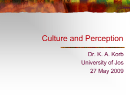 Culture and Perception