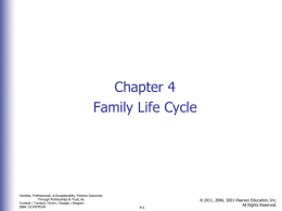 Family Life Cycle