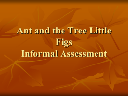 Ant and the Tree Little Figs Informal Assessment