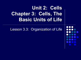 Unit 2: Cells Chapter 3: Cells, The Basic Units of Life