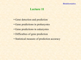 lecture11