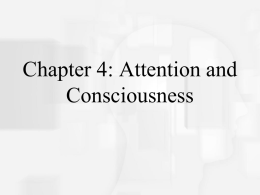 Cognitive Psychology, Fifth Edition, Robert J. Sternberg Chapter 4