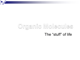 organic molecules Ghidotti ppt1