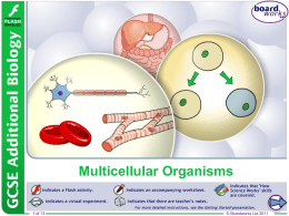 Multicellular Organisms